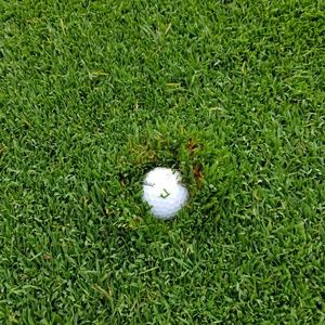 Meet your Posher, Tom